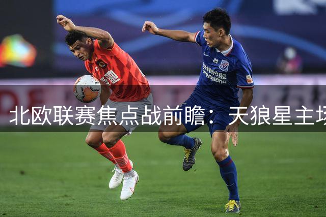 北欧联赛焦点战前瞻：天狼星主场或成稳胆首选