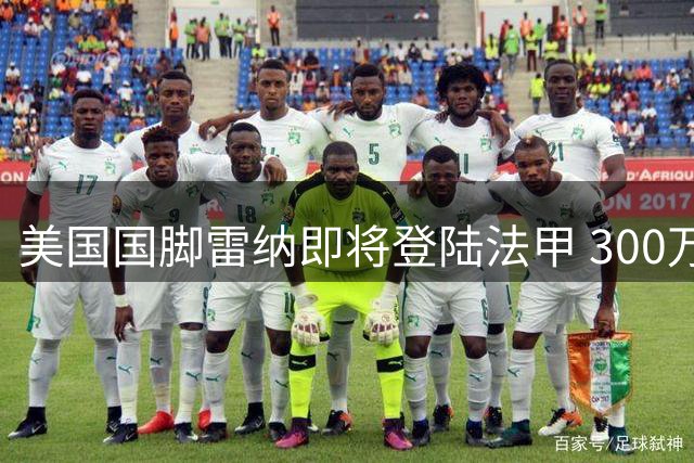 美国国脚雷纳即将登陆法甲 300万欧元转会斯特拉斯堡