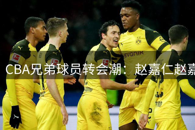 CBA兄弟球员转会潮：赵嘉仁赵嘉义分赴山西北控开启新篇章